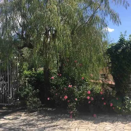 Villa Rita Fronte Campo Golf *